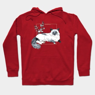 BIRMAN Hoodie